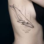 52hz_whale profile picture