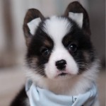 In_69_ profile picture